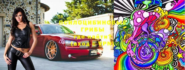 ECSTASY Белокуриха