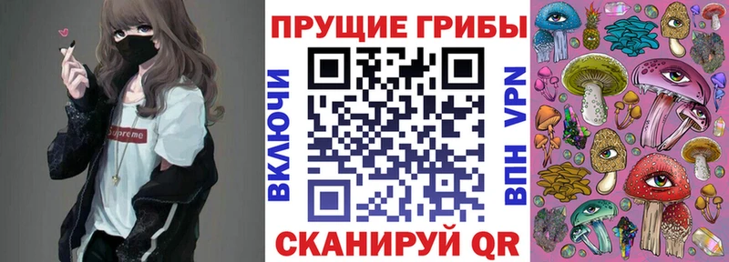 закладка  Калининец  Псилоцибиновые грибы мухоморы 